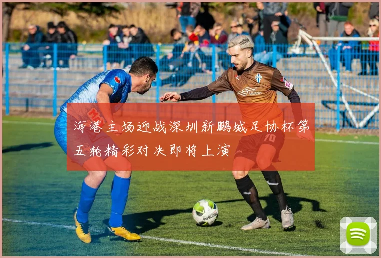 海港主场迎战深圳新鹏城足协杯第五轮精彩对决即将上演